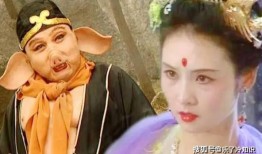 八戒在线观看,奇幻冒险之旅，笑料横生的猪八戒传奇