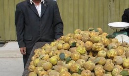 新疆吃瓜网红是谁,揭秘新疆美食界的“瓜王”